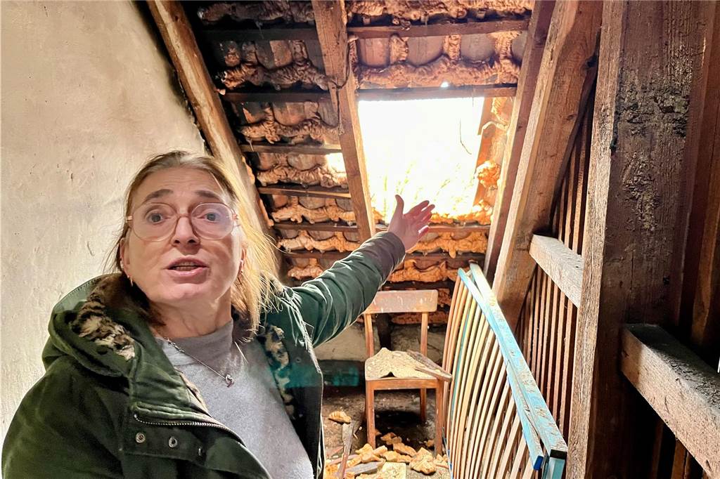 Bewohnerin nach erneutem Nordstadt-Brand geschockt: „Sicher hatte ich Angst“ An zwei Stellen wurde das Dach des Nachbarhauses stark beschädigt.
