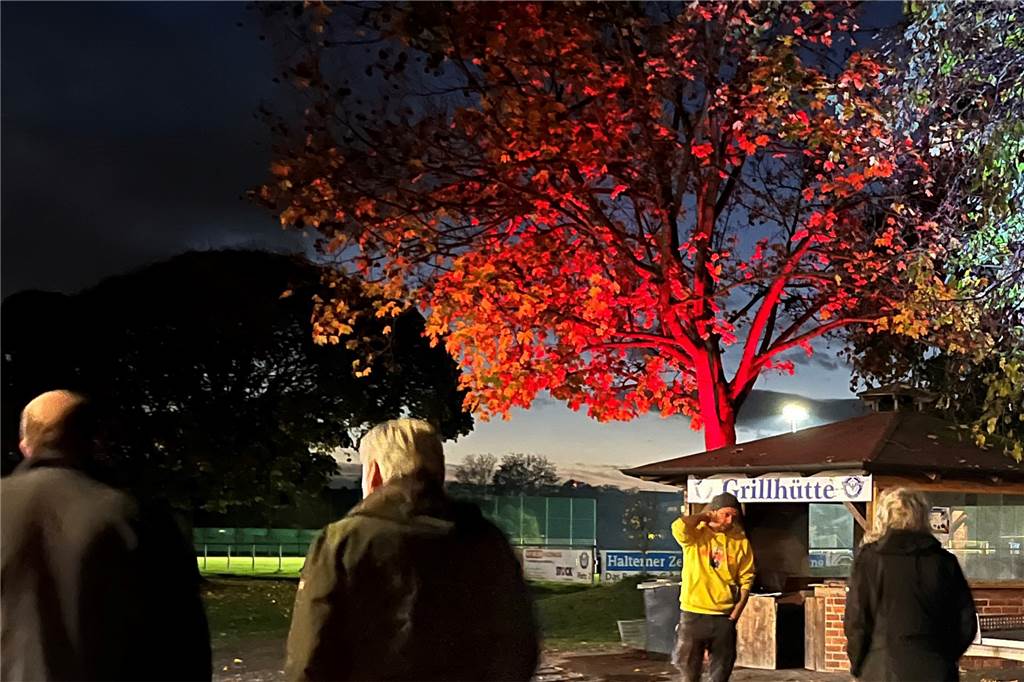 Weihnachtsmarkt ohne Kommerz: Vier Organisatoren, viele Hobbykünstler André Stegemann (Foto) und sein Team besprach mit den Ausstellern Einzelheiten zum Weihnachtszauber.