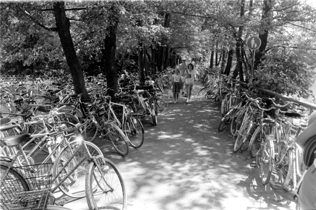 Anfang der 80er Jahre wurde das Freibad am Cappenberger See neu eröffnet. Die Besucher strömten während der Sommermonate in das Bad, um sic zu erfrischen und auf den großen Liegewiesen zu sonnen.