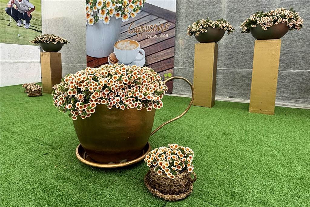 Grüne Innovationen: Unternehmen Westhoff setzt mit Blumenkreationen Trends Blumen in der Farbe Cappuccino