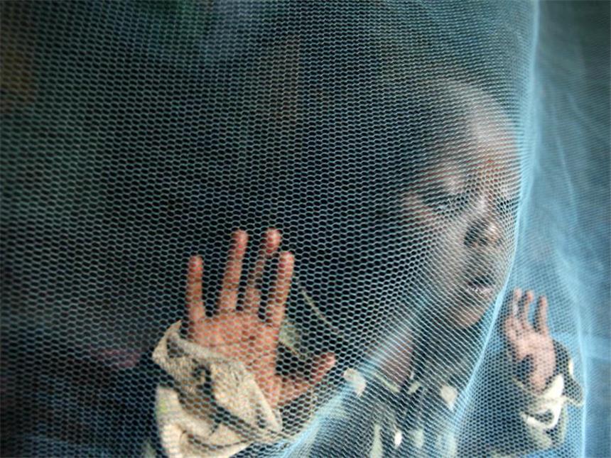 WHO fordert stärkeren Einsatz gegen Malaria Angesichts von jährlich rund 400 000 Malaria-Toten hat die Weltgesundheitsorganisation einen stärkeren Einsatz zur Verhinderung neuer Infektionen gefordert. Foto: Stephen Morrison/Archiv