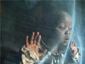 Angesichts von jährlich rund 400 000 Malaria-Toten hat die Weltgesundheitsorganisation einen stärkeren Einsatz zur Verhinderung neuer Infektionen gefordert. Foto: Stephen Morrison/Archiv