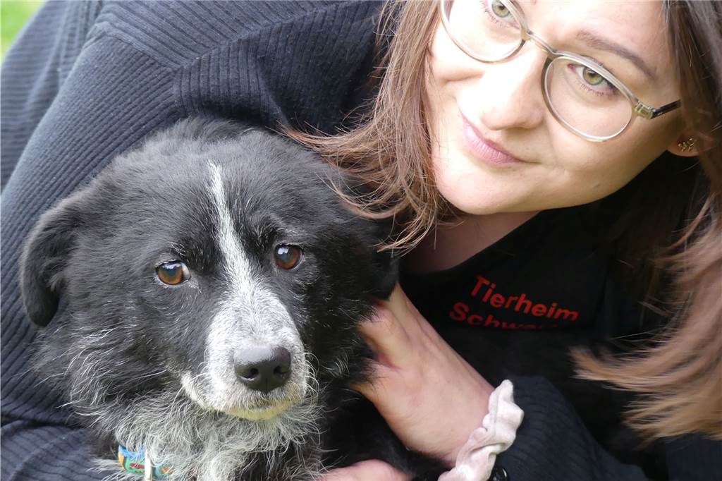 Tierschicksale bewegen Anne Hochsattel (76): „Ich kenne die Misere!“ Anna Sonntag, Vorsitzende des Tierschutzvereins, mit Hund Knut