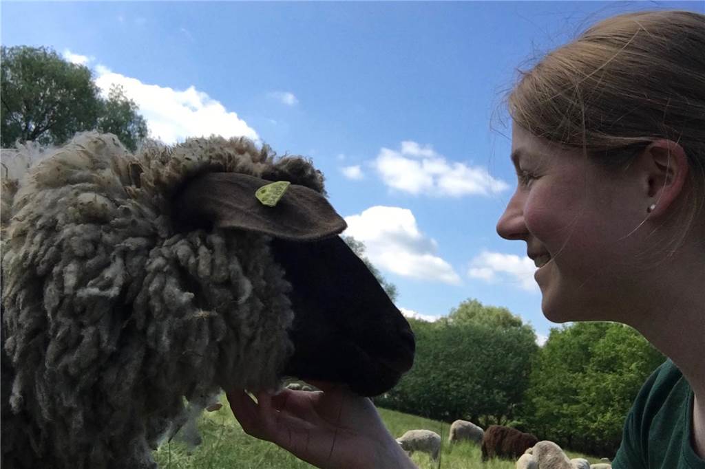 „Es gibt nichts Schöneres, als alles auf einer Karte essen zu können“ Anna Stehmann schaut ein Schaf an und krault es am Kopf. Im Hintergrund sieht man eine Wiese und blauen Himmel.