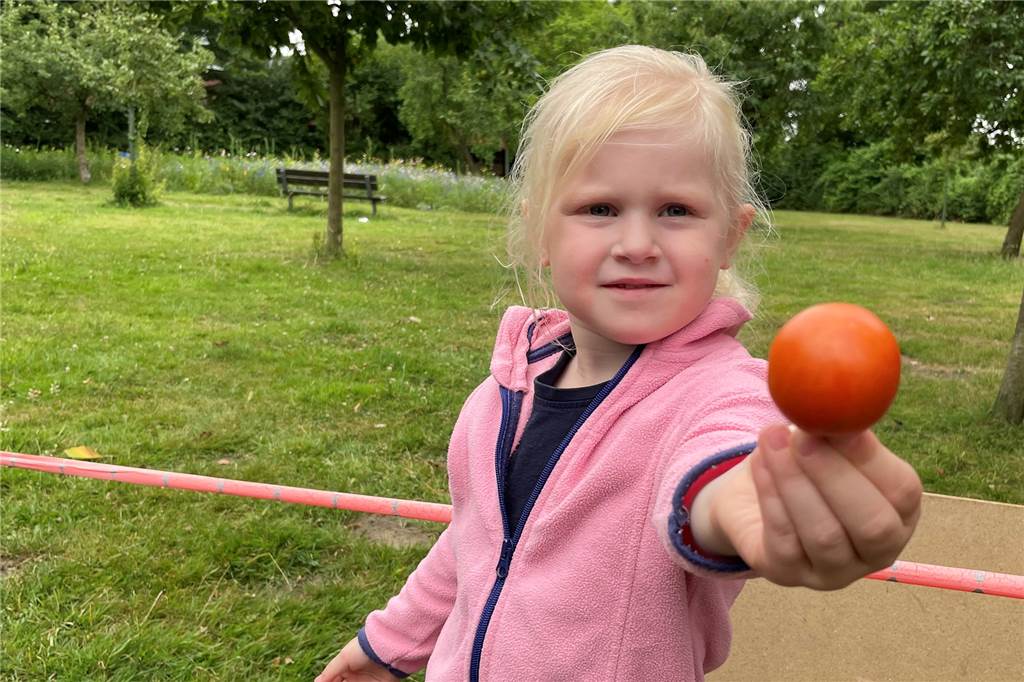 Acker im Stadtpark Südkirchen: Kita-Kinder ernten ihr Gemüse jetzt selbst Annika hat eine Tomate gepflückt, die auf dem Acker der Kita gereift ist.