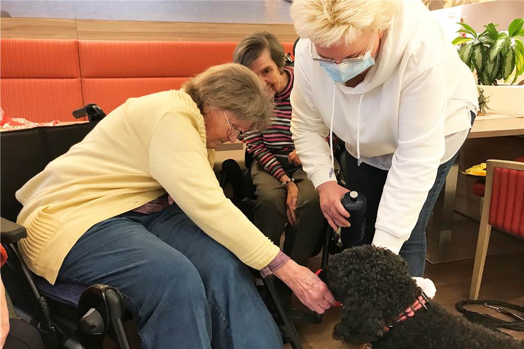 Therapeut auf vier Pfoten im Alloheim in Sythen: „Balu macht so viel Freude“ Anstrengender Job: Elisabeth Gesing reicht Balu ein Schälchen mit Wasser.