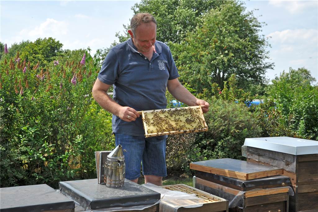 Simone und Antonius Schulze Beikel öffnen Garten und Bienenstöcke Antonius Schulze Beikel hat in der Nähe des Hauses Bienenvölker.