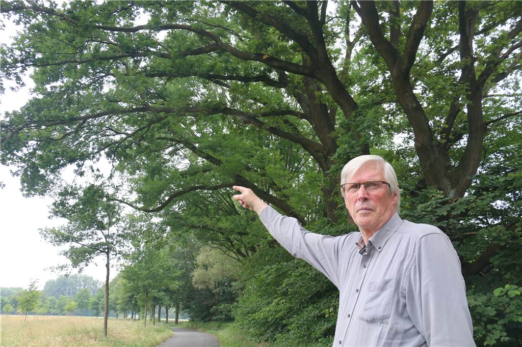 „Die Raupen krabbeln den Gartentisch hoch“: Werner ist entsetzt über EPS-Plage Anwohner Horst Löscher kritisiert, dass die Stadt nicht genügend tut im Kampf gegen den Eichenprozessionsspinner.