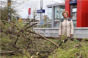 Anwohnerin Marianne Volle neben der alten Weide. Der Baum stürzte am Donnerstag, 8. April, auf die Gleise am Bahnhof Selm-Beifang. 