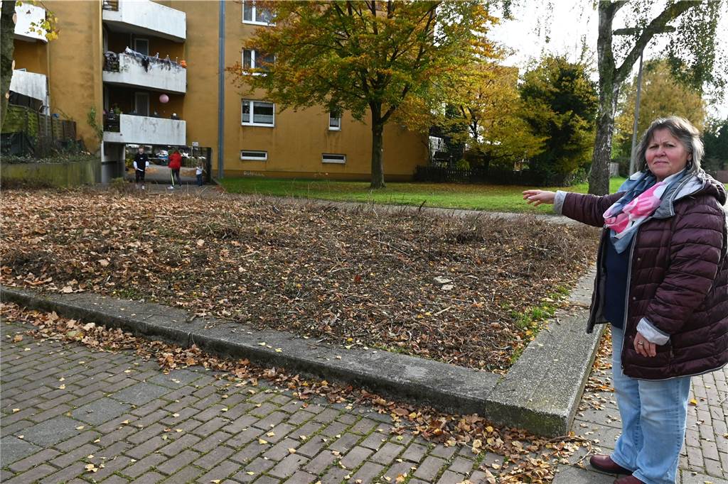 Gefährliche Grünarbeiten: Mehrere Igel in Dorsten wurden skalpiert Anwohnerin Simone Wegner zeigt eine Stelle, wo das Wohnungsbau-Unternehmen „Velero“ radikal zurückgeschnitten hat.