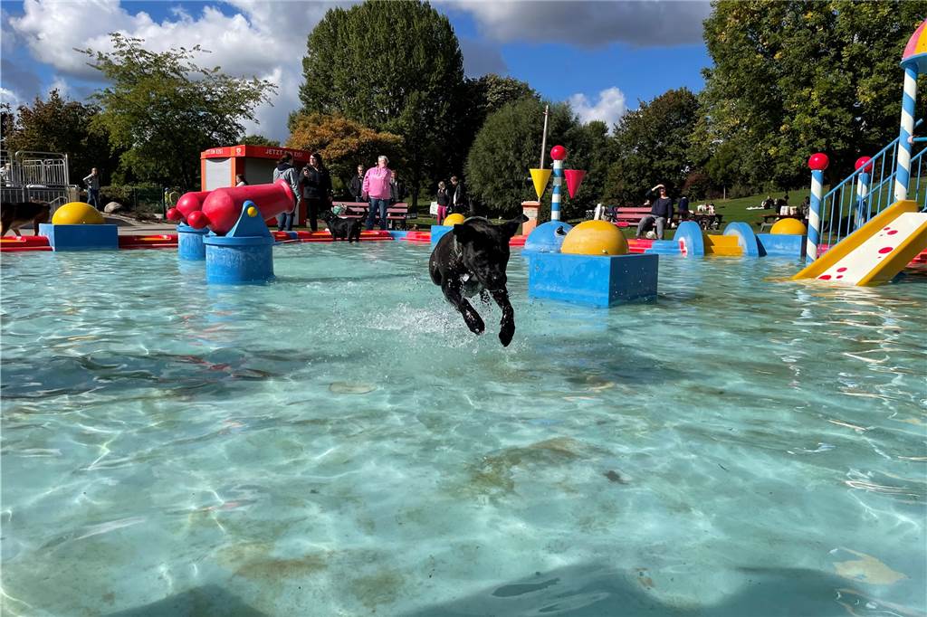 Viele Fotos: Vierbeinige, bellende Freunde zu Gast im Freibad Aquadog-Festival