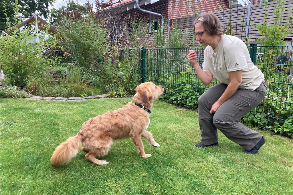 Hundehalter wünschen sich eine Freilauffläche für Raesfeld und Erle Hund Bernie und Frauchen Astrid Böhle