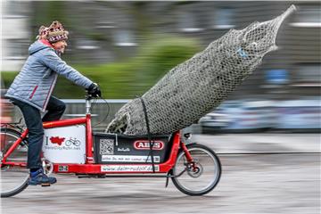 Astrid Wendelstigh und ihre Kollegen liefern die Bio-Weihnachtsbäume sogar mit dem Lastenrad nach Hause.