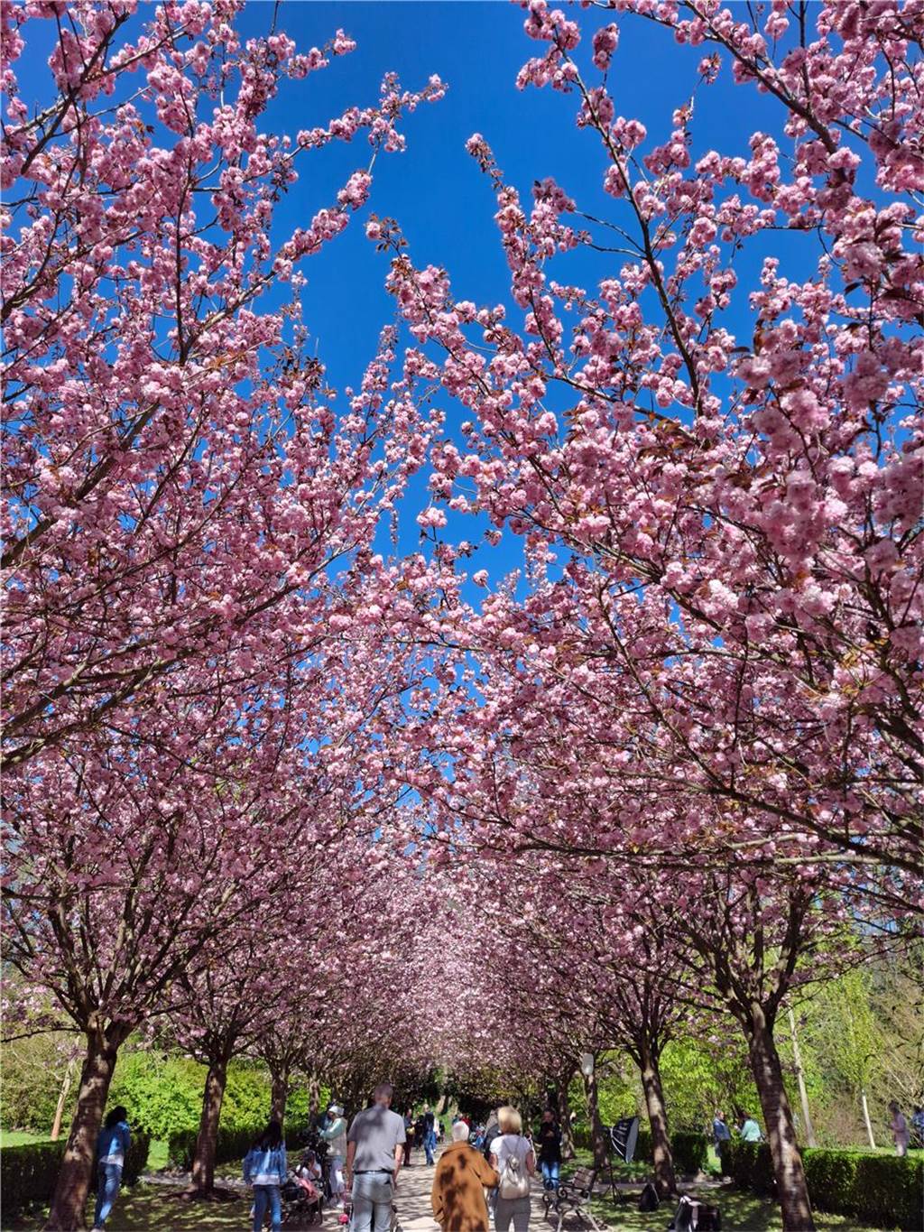 Auch Alina K. war im Rombergpark unterwegs und hatte ihre Kamera dabei.