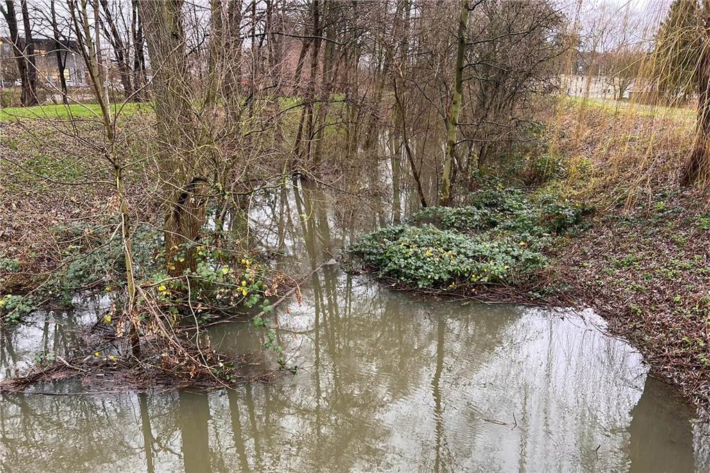 Auch am Süggelbach - zwischen Seseke und dem Stadtteil Gahmen, wo er irgendwann in der Landschaft verendet - sind die starken Regenfälle sichtbar.