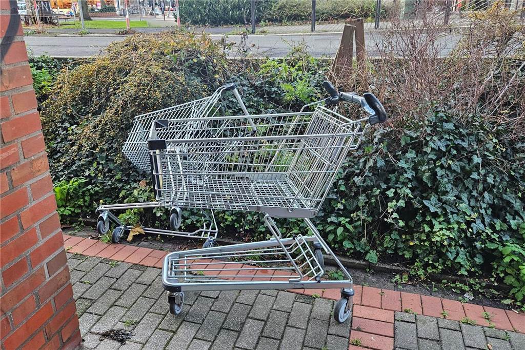 Zwei Einkaufswagen stehen auf einem asphaltierten Weg, einer ist umgekippt und liegt im Gebüsch.