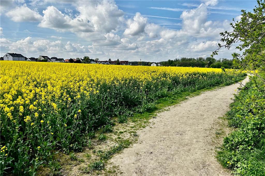 Traum vom Eigenheim: Neubaugebiet an der Stadtgrenze zu Schwerte geplant Neubaugebiet in Sölderholz