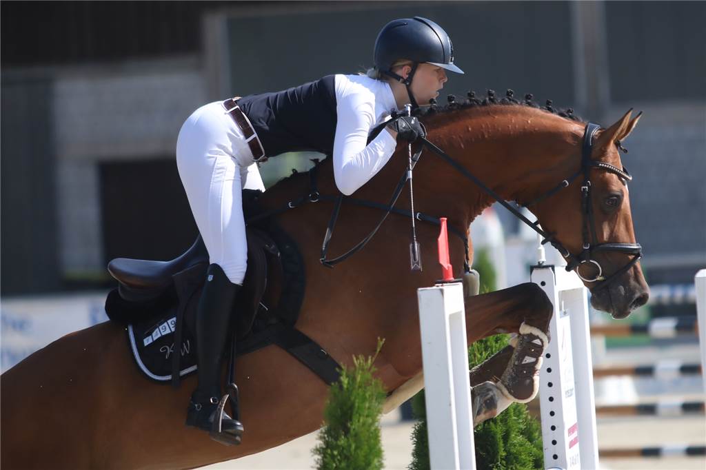 Auch beim Reitsport geht es um Geschwindigkeit.