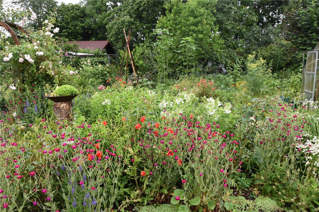 Ehepaar teilt riesigen Garten in Autobahnnähe sogar in „Zimmer“ auf Auch Blumen haben in dem 1200 Quadratmeter großen Garten ihren Platz.