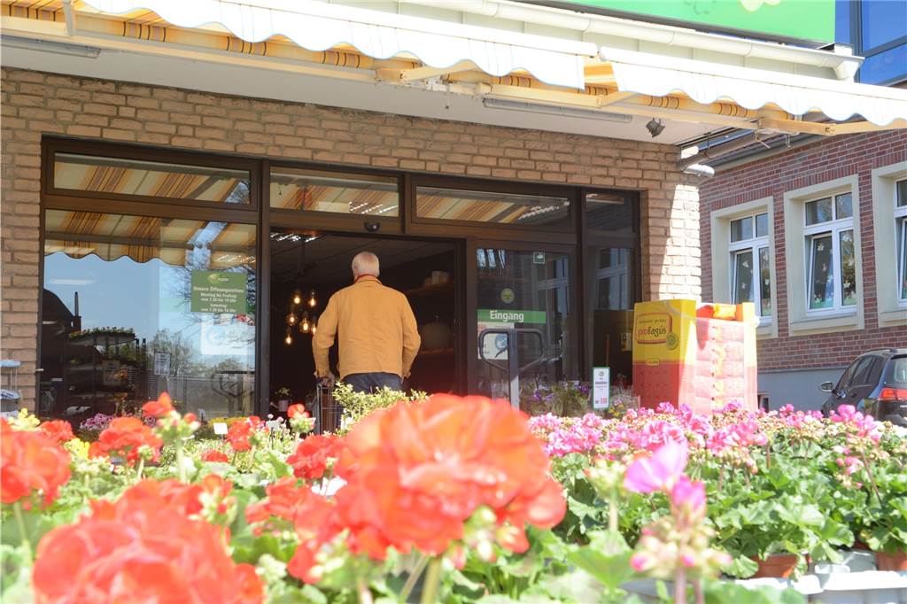 Frischemarkt Bösing in Haltern: „Lieferengpässe gibt es in allen Bereichen!“ Auch Blumen kauft Andreas Bösing bei einem regionalen Anbieter ein.