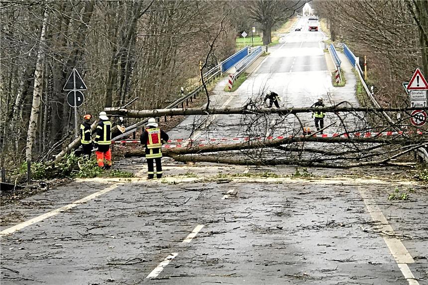 Sturm Friederike: Das waren die Folgen in Schwerte Auch der Holzener Weg an der Stadtgrenze zu Dortmund war gesperrt.