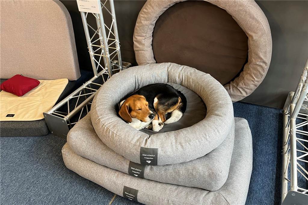 DoggyBed aus Lünen sorgt für Hunde ohne Knochenschmerzen Auch der Hund Jack von Uwe Holler fühlt sich in den orthopädischen Hundebetten seines Besitzers wohl.