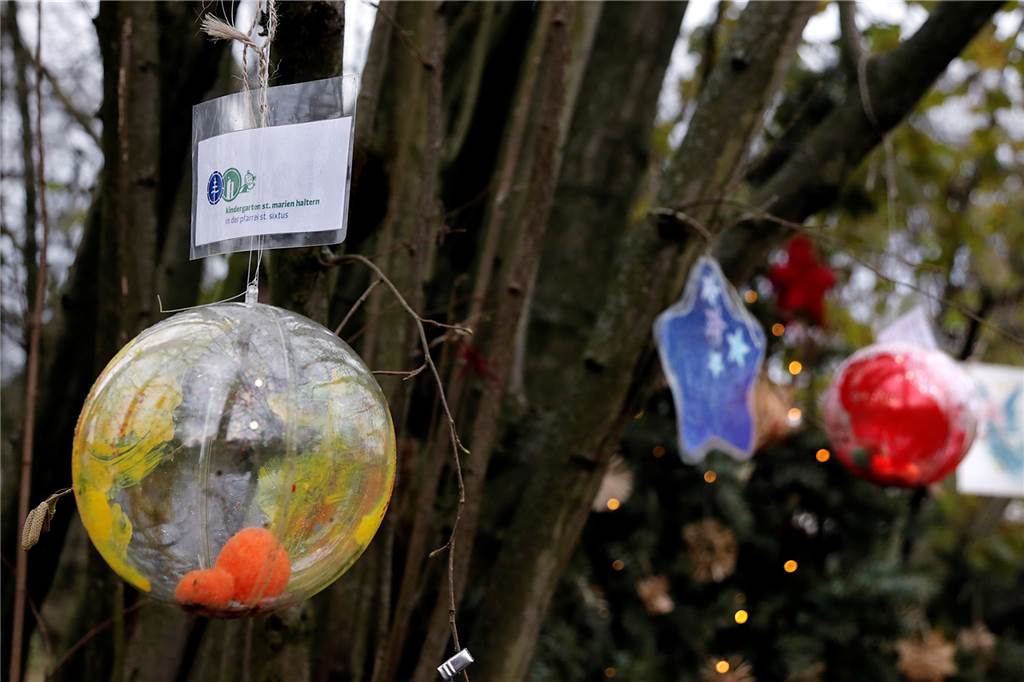 Krippe im Halterner Westuferpark erfreut wieder Groß und Klein Auch der Kindergarten St. Marien hat die Bäume rund um die Krippe geschmückt.