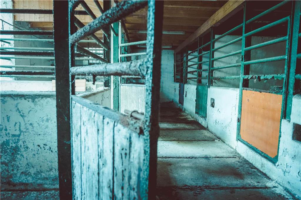 Wer erinnert sich noch? Autorin sucht Zeitzeugen zu Reitstall und Reithalle in Cappenberg Auch die ehemaligen Ställe der Jagdpferde konnte sich Carola Schiller im Sommer des vergangenen Jahres anschauen.