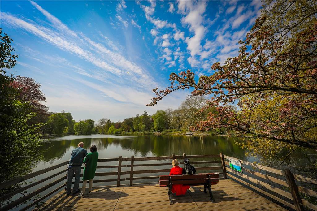 Botschafter für Umwelt und Natur: Trauer um früheren Rombergpark-Leiter Bünemann Der Rombergpark in Dortmund