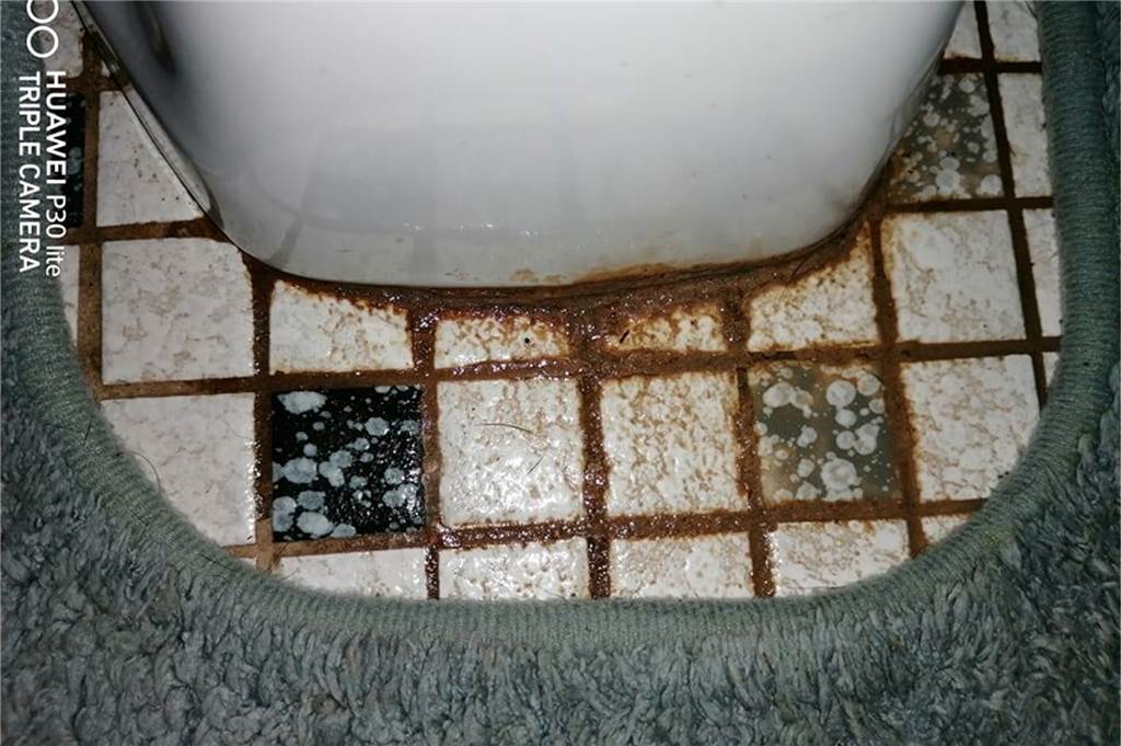 Mieterin sauer: Sanierung steht in der Warteschleife beim Bauverein Lünen Auch die Toilette sei undicht und müsse dringend erneuert werden, beklagt Mieterin Stephie Stamm.