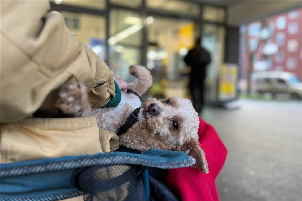 Stefan (59): „Wer sagt, das ist zu wenig, hat noch nie Hunger erlebt“ Auch diese Hundedame fühlt sich wohl bei Stefan.