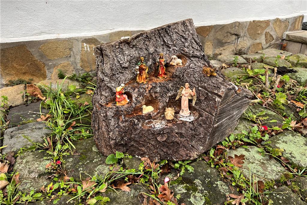 „Wir haben Humor“: Kuriose Krippen bilden den Krippenweg der Altstadt Krippe aus einer Baumwurzel