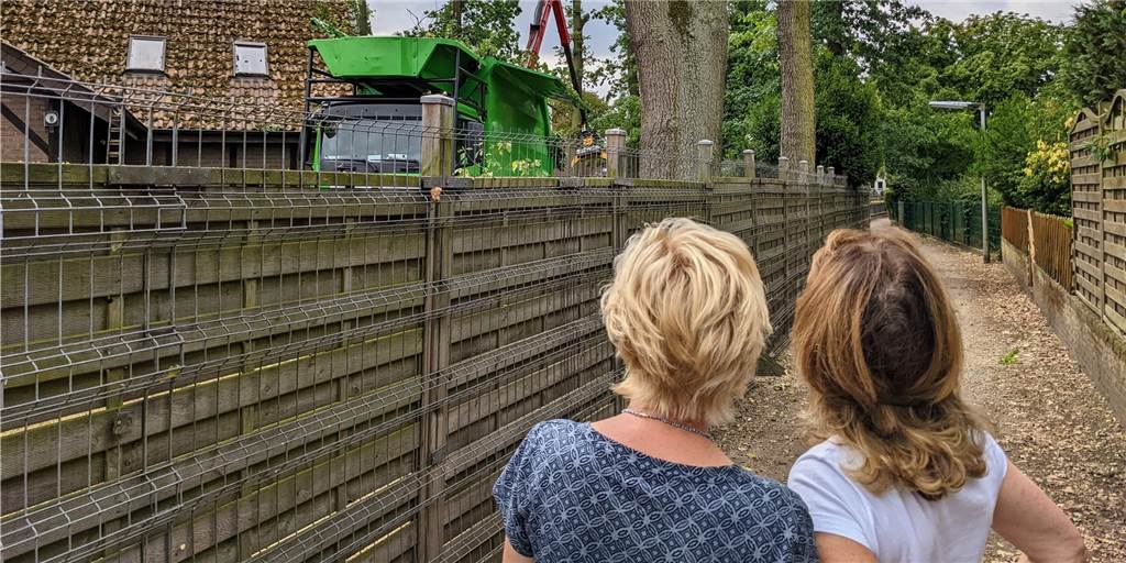 Anwohner in Dorstener Wohnsiedlung sauer: Riesige alte Eichen abgeholzt Baumfällaktion
