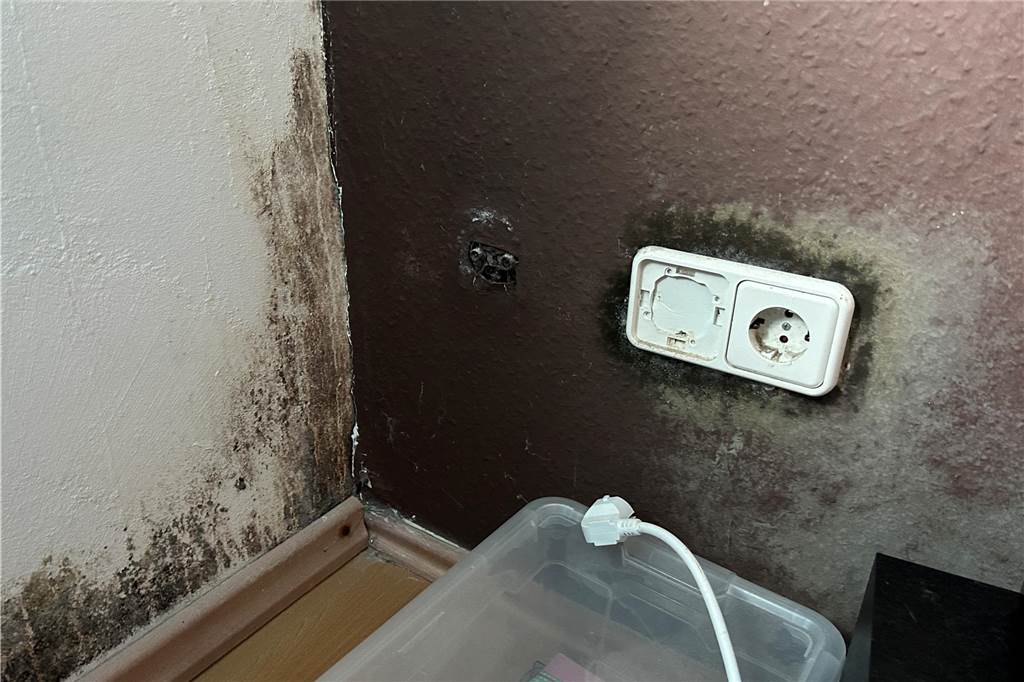Verzweifelte Mutter: Angst nach dem Brand und Schimmel an den Wänden Eine Raumecke mit einer Steckdose, um die herum die Wand schimmelt.