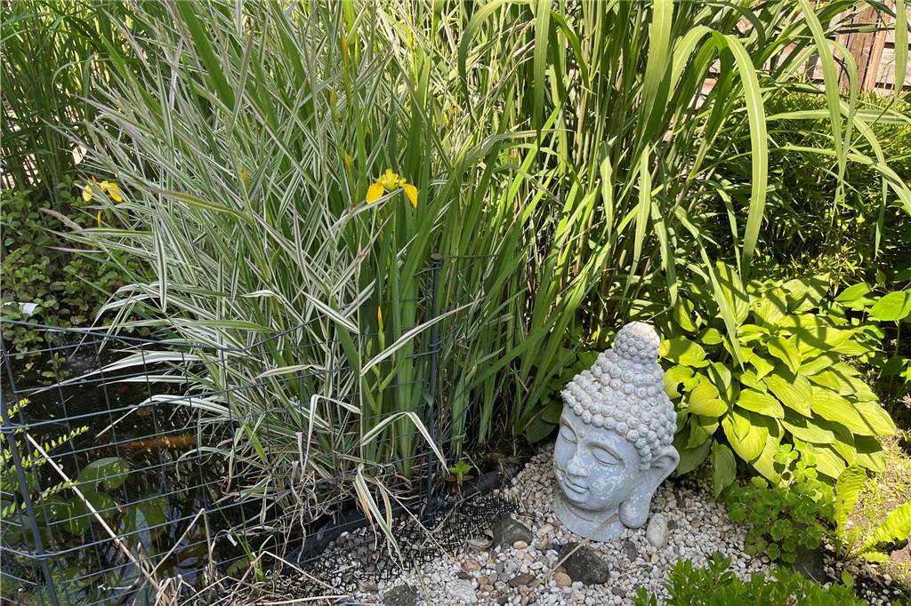 Makler Marco Nussbaum zeigt, wie ein Haus in Szene gesetzt wird Auch ein Garten gehört zum Haus.