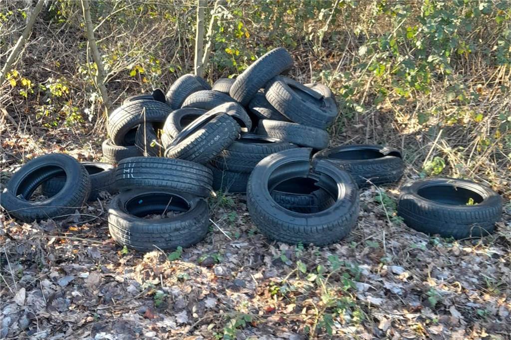 Silbersee: Spaziergänger beobachtet illegales Abladen einer Couchgarnitur Autoreifen liegen am Parkplatz-Rand.