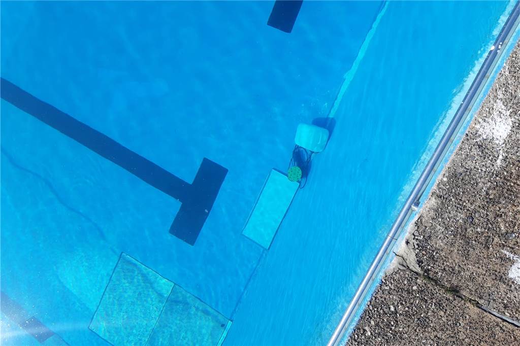 Unbekannte randalieren im Freibad Wellinghofen: „Mir blutet das Herz“ Auch elektrische Geräte haben die Täter im Wasser versenkt - wie dieses Schleifgerät.