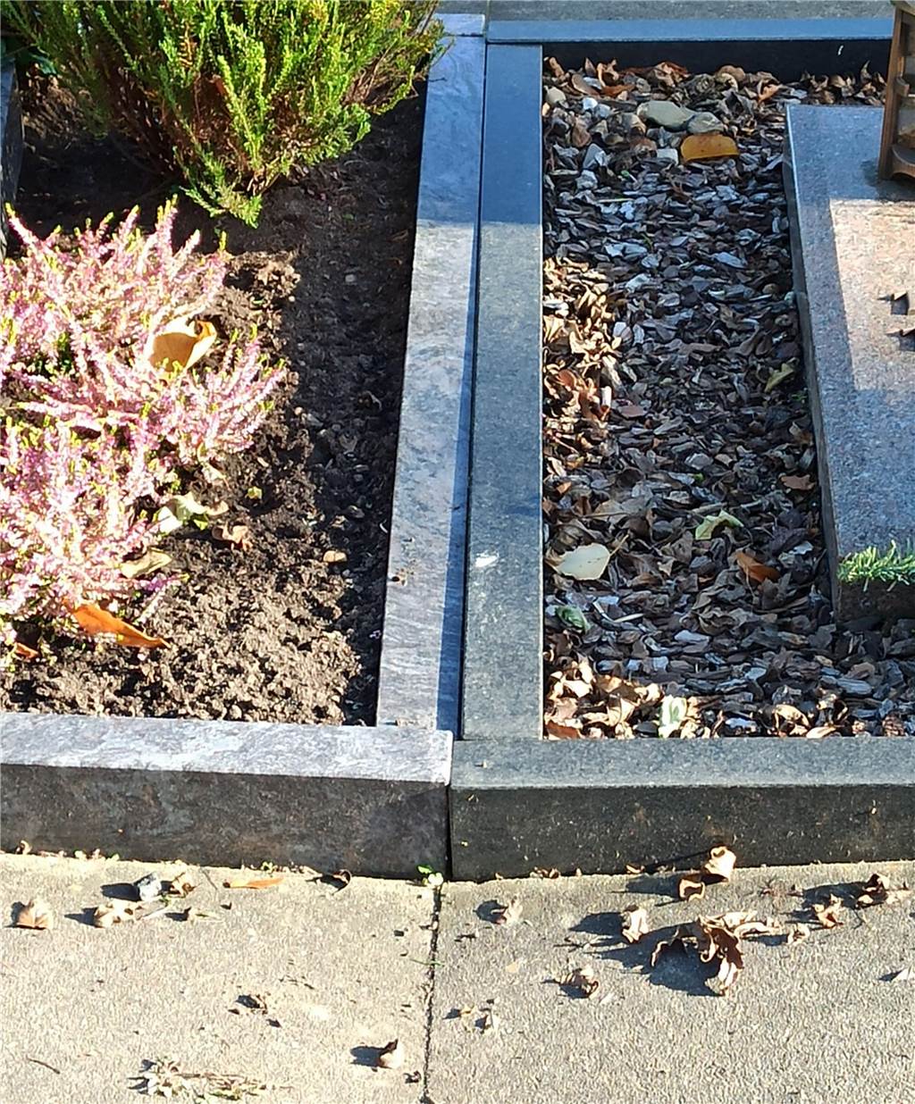 Wühlmäuse wüten auf Friedhof: „Wege und Grabsteine senken sich ab“ Auch Grabumrandungen auf dem Friedhof Oespel wurden durch die Aktivitäten der Wühlmäuse beschädigt.