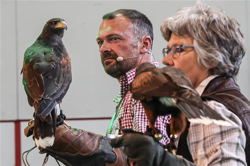 Jagd & Hund: „Endlich wieder persönliche Kontakte - das hat gefehlt“ Auch Greifvögel waren bei der Messe Jagd & Hund zu sehen, die am Sonntag (12.6.) in den Westfalenhallen zu Ende ging