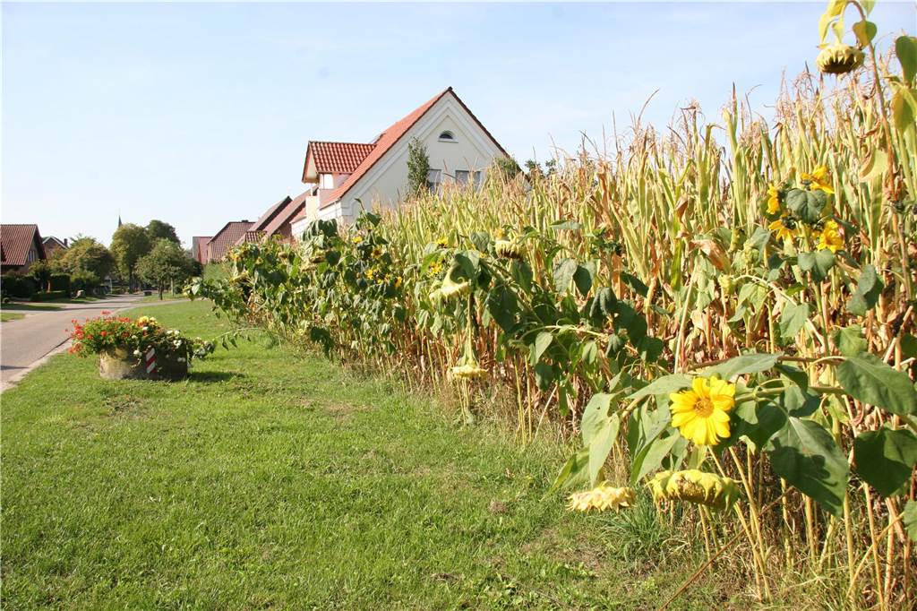 Neues Bauland in Vreden: Hier könnte in Zukunft Wohnraum entstehen Auch in den Kirchdörfern wie Ellewick, sollen weitere Wohnpotenziale ausgeschöpft werden.