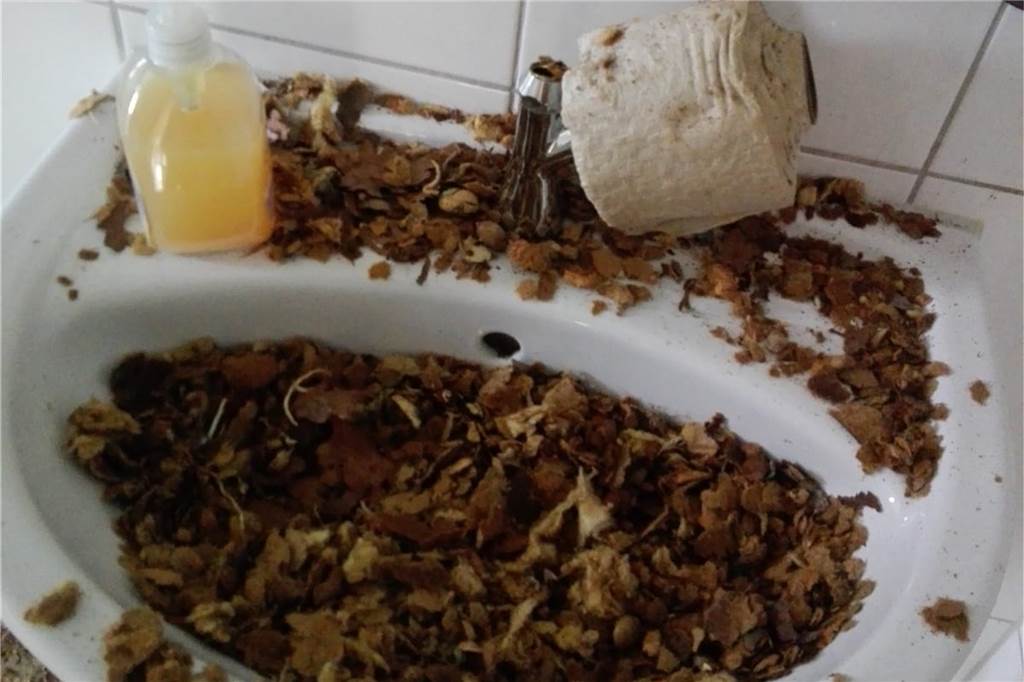 Erneuter Vandalismus-Fall auf dem Vereinsgelände des SC Capelle Auch in den Toiletten wurde Schaden angerichtet.