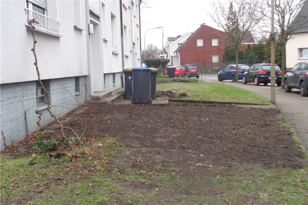 Mieter geschockt von Kahlschlag in mehreren Wohnquartieren in Lünen Auch in der Arndtstraße, die parallel zur Christian-Morgenstern-Straße verläuft, herrscht seit Dienstag (2. Februar) an vielen Stellen vor Häusern der Vivawest Kahlschlag.