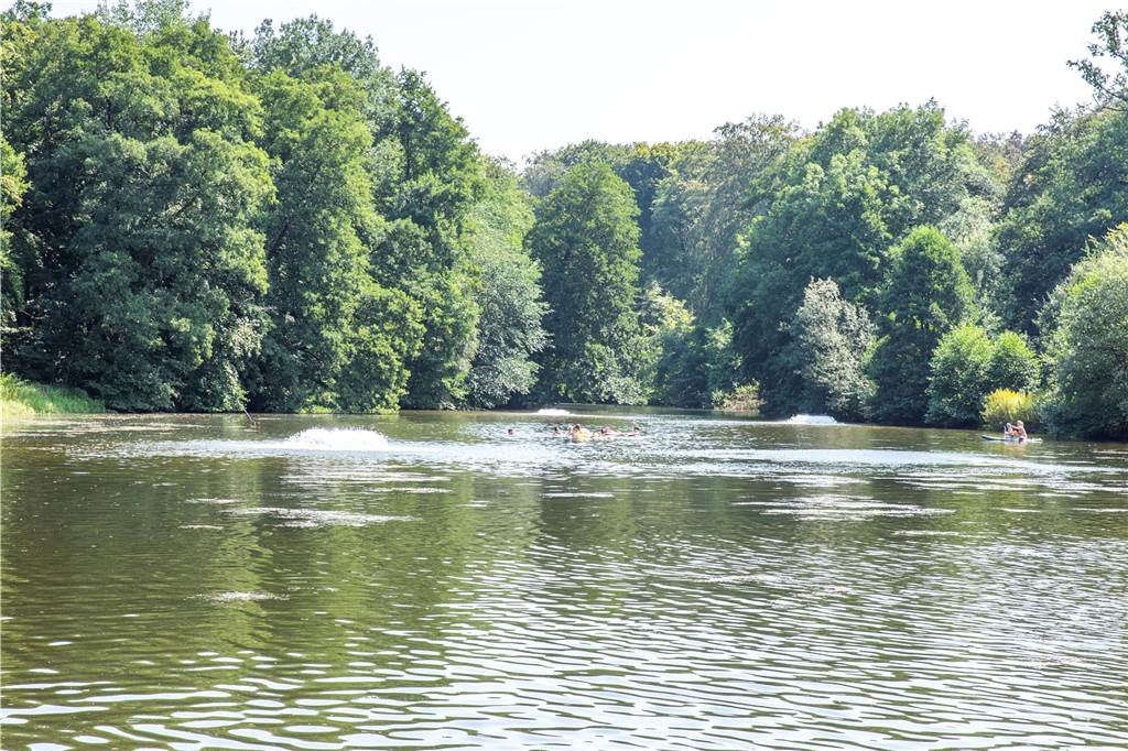 PFAS: Krebserregende Substanzen in Stever und Kanal gefunden Die Stever in Haltern
