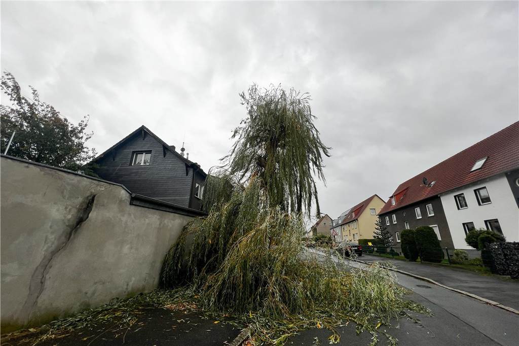 Sturmschäden: Dachpappe löste sich von Mehrfamilienhaus, Baum kippte um Umgekippter Baum am Morgen des 2.11. in der Kometenstraße in Dorstfeld