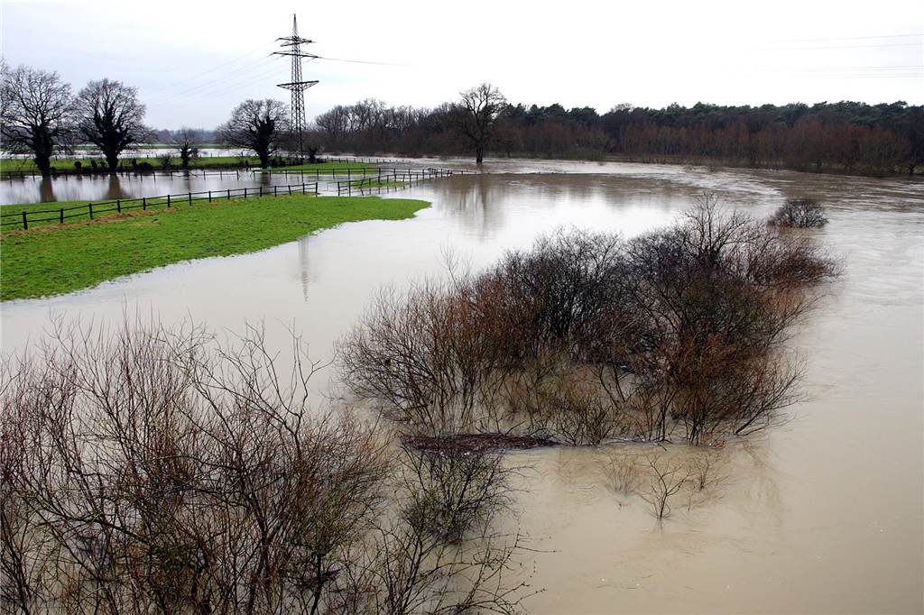 Hochwasser in Haltern: Nicht nur Hof Beermann kämpft gegen die Fluten Auch in Flaesheim hat die Lippe die Wiesen in eine Seenlandschaft verwandelt.