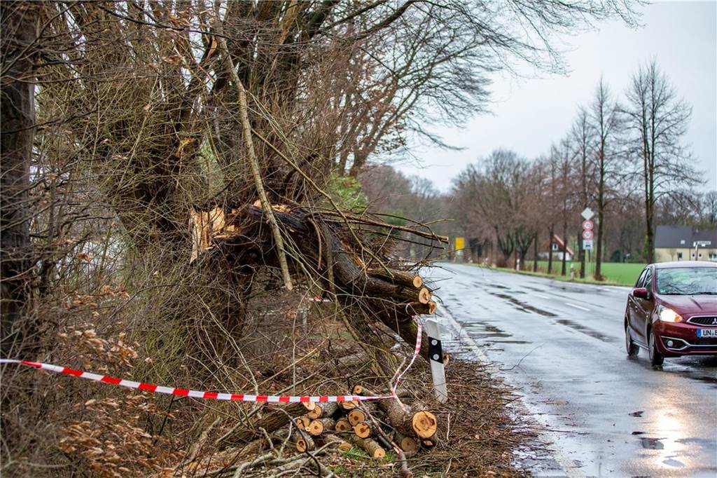 Bäume auf Autos gekippt: Feuerwehr Schwerte verzeichnet 38 Sturmeinsätze Auch in Geisecke hatte es zum Teil große Bäume "erwischt". Die Feuerwehr musste immer wieder zu Säge und Absperrband greifen.