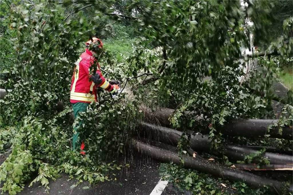 Sturmschäden nach Gewitter: Stadt warnt vor herabfallenden Ästen Feuerwehr beseitigt Baum auf einer Straße
