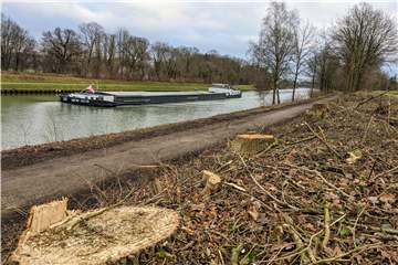 Auch in Höhe des neuen Brückenstandorts wurden die Bäume für die neue Kanalbrücke in Östrich gerodet. Im Hintergrund die alte Brücke 350 Meter weiter östlich.