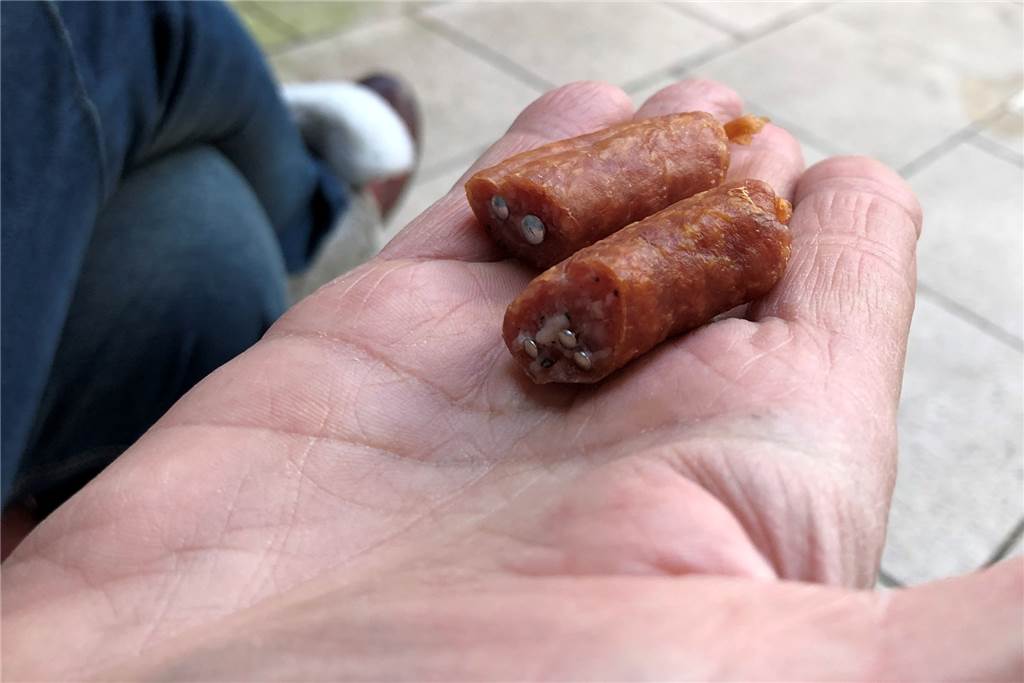 Auch Karin Fanty hat einige der Köder in Hostedde gefunden und zeigt sie hier.