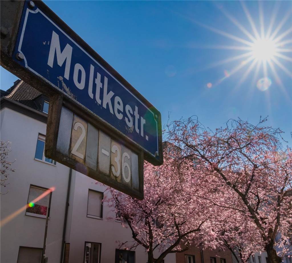 Der Frühling ist da- In der Moltkestraße erblühen die ersten Kirschbäume